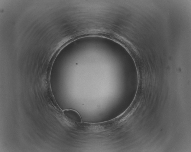 X0000073921170200608181042