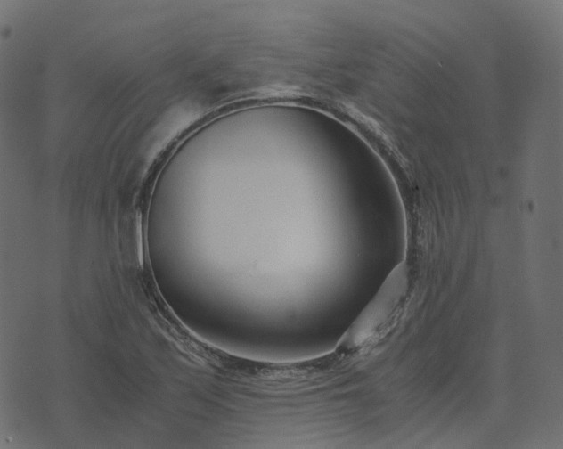 X0000073921171200608181042