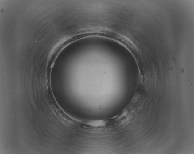 X0000073921172200608181042