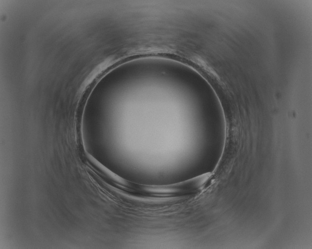 X0000073921173200608181042