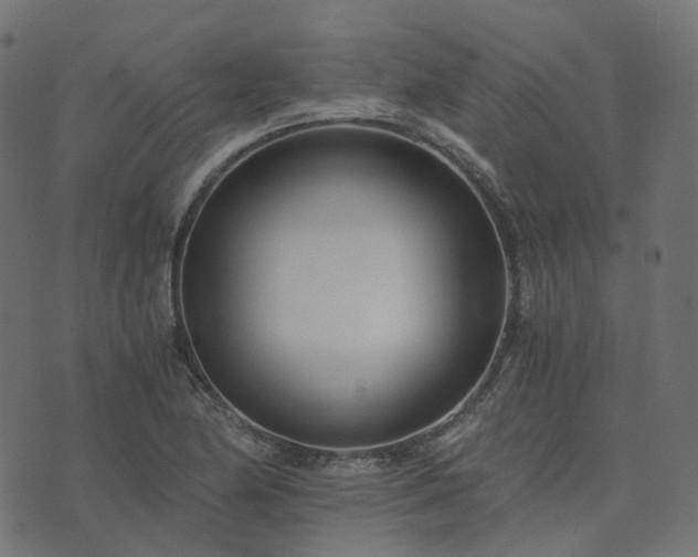 X0000073921174200608181042