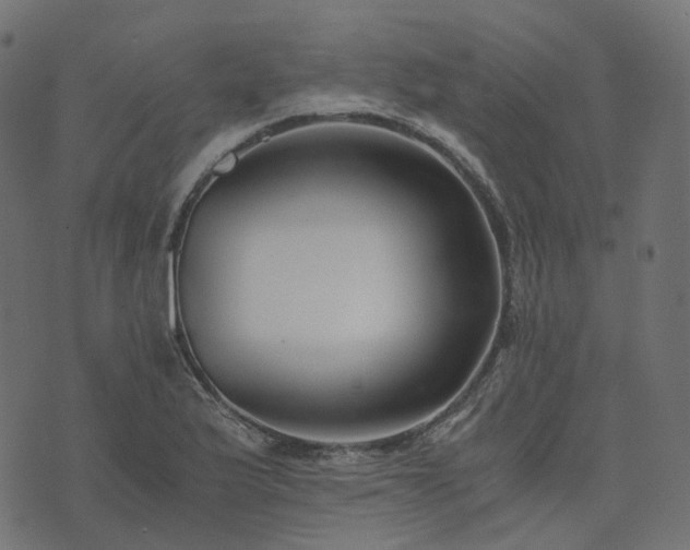 X0000073921175200608181042