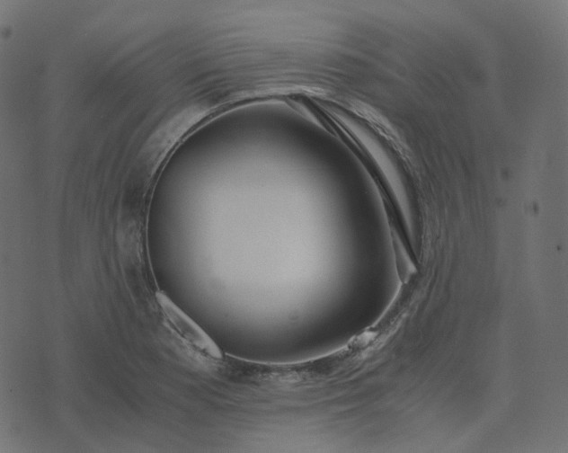 X0000073921177200608181041