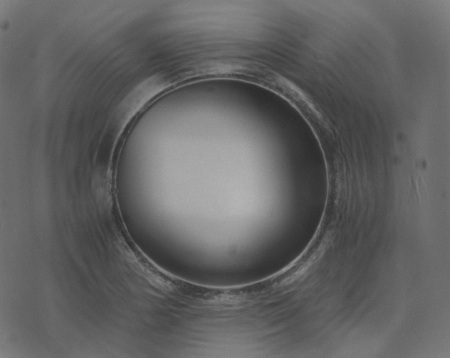 X0000073921178200608181041