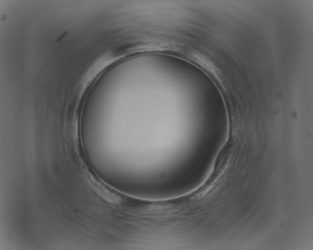 X0000073921179200608181041