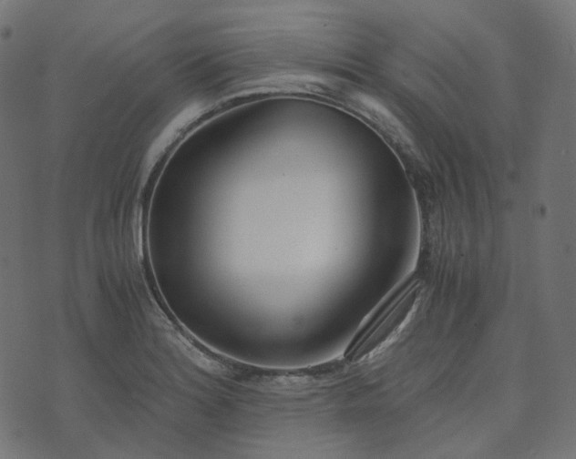 X0000073921180200608181041