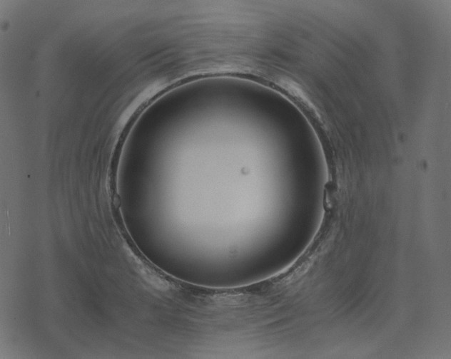 X0000073921181200608181041