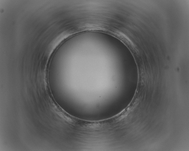 X0000073921182200608181041