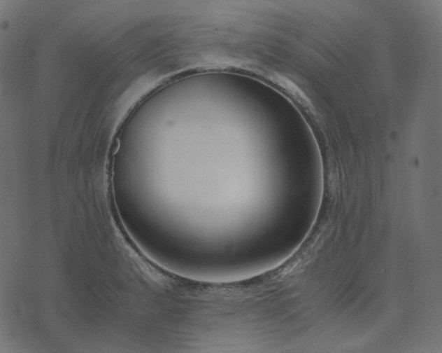 X0000073921183200608181041