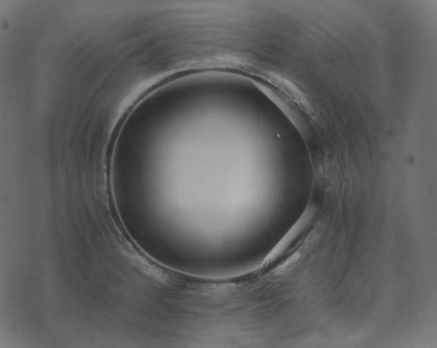 X0000073921184200608181041