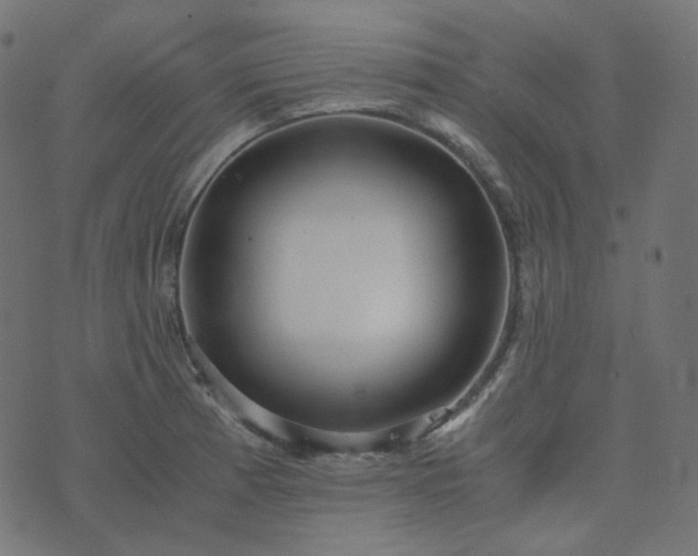 X0000073921185200608181041