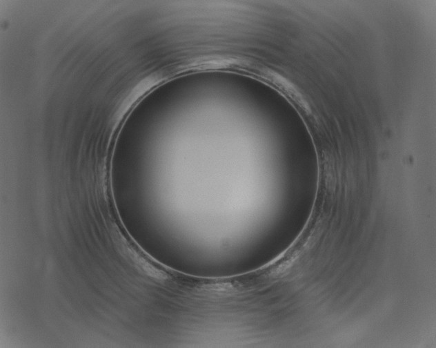 X0000073921186200608181041