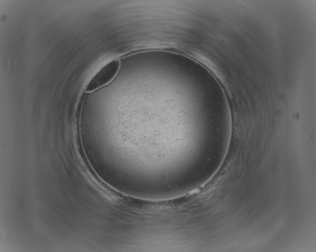 X0000073921187200608181041