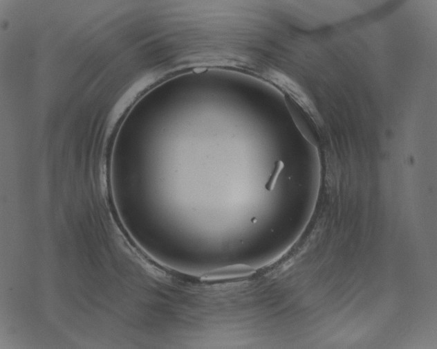 X0000073921188200608181041