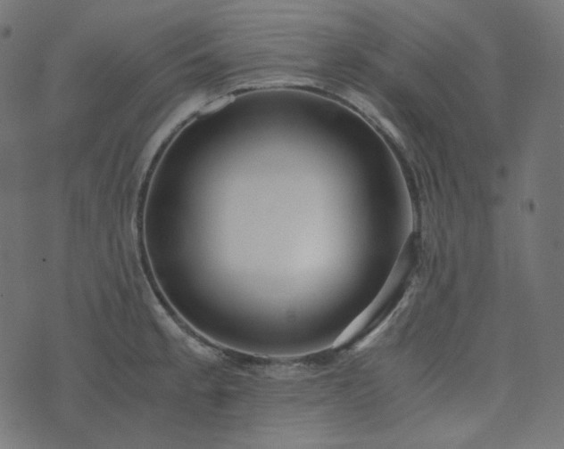 X0000073921189200608181041