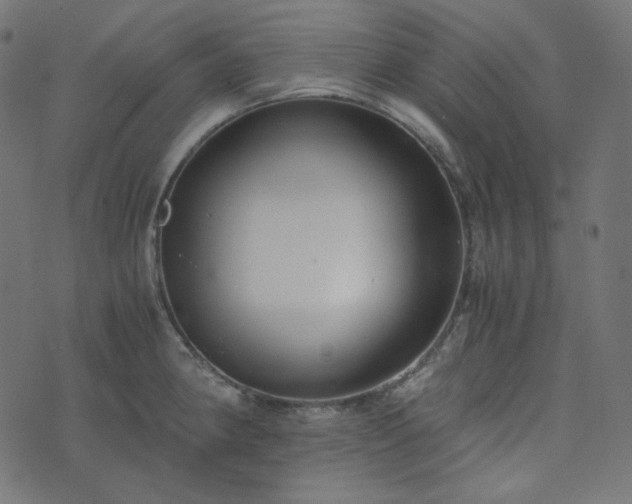 X0000073921190200608181041