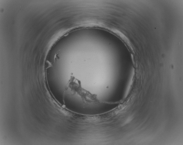 X0000073921191200608181041