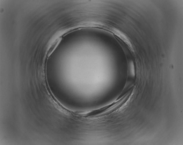 X0000073921192200608181041