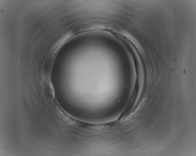 X0000073921193200608181041