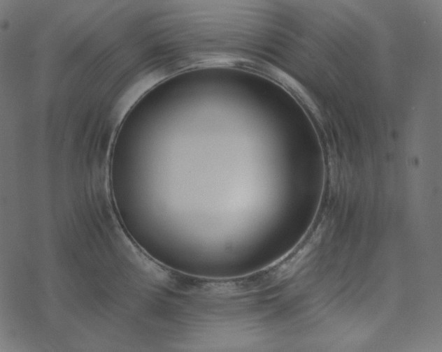 X0000073921194200608181041