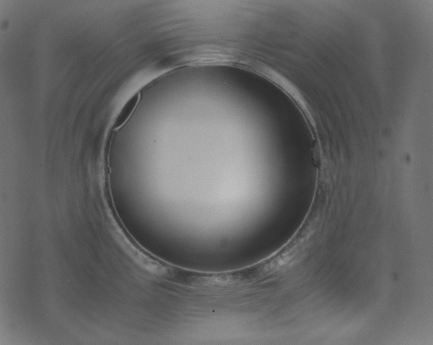 X0000073921195200608181041