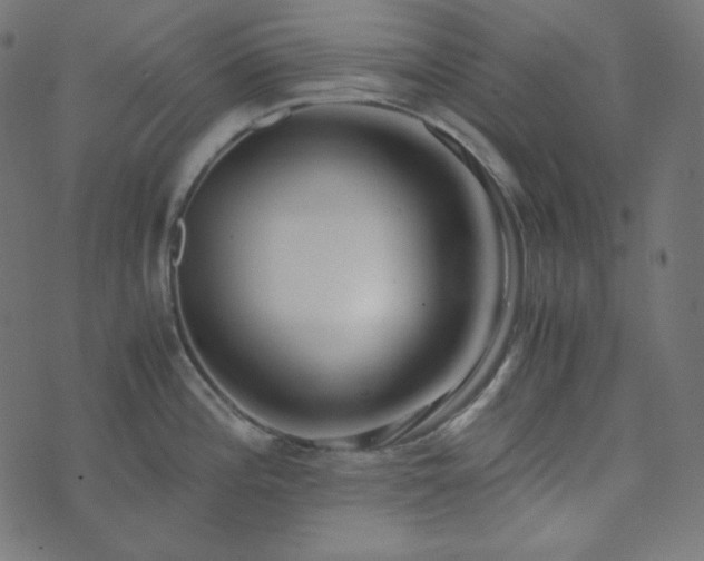 X0000073921196200608181041