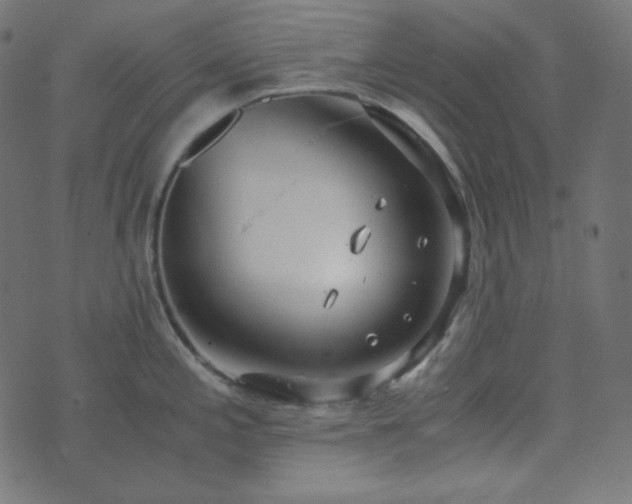 X0000073921197200608181041