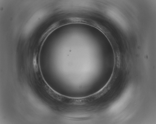 X0000073921198200608181041