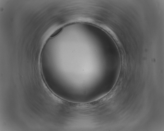 X0000073921199200608181041