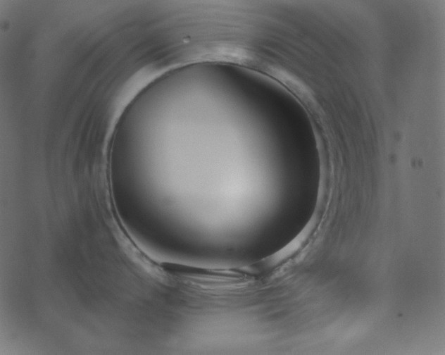 X0000073921200200608181041