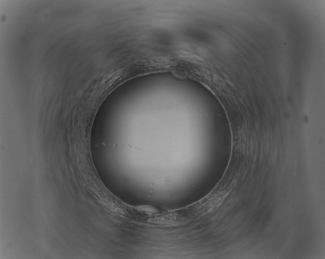 X0000073921201200608181040