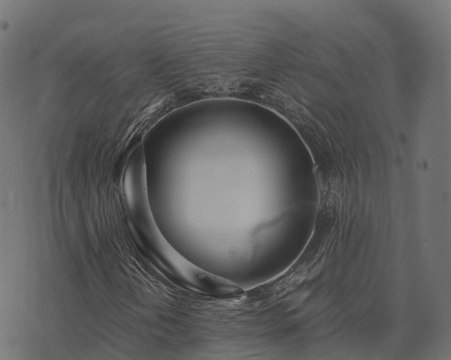 X0000073921202200608181040