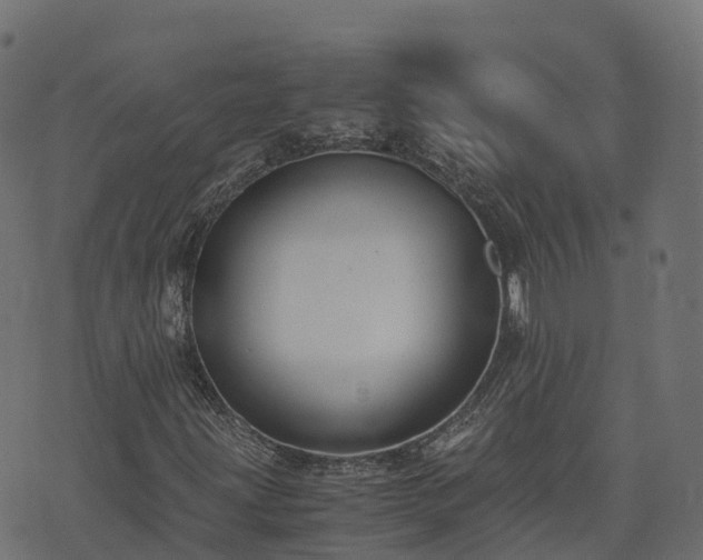 X0000073921203200608181040