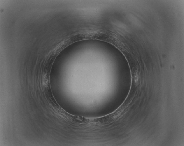 X0000073921204200608181040