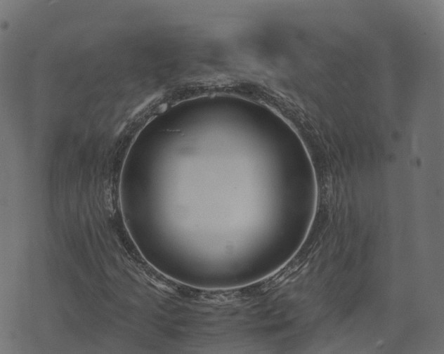 X0000073921205200608181040