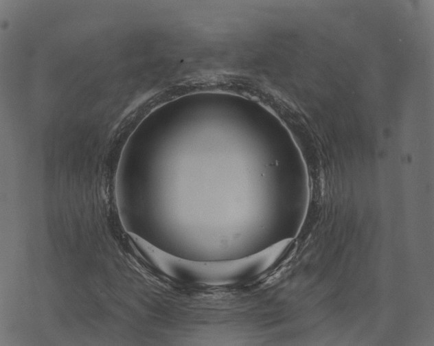 X0000073921206200608181040