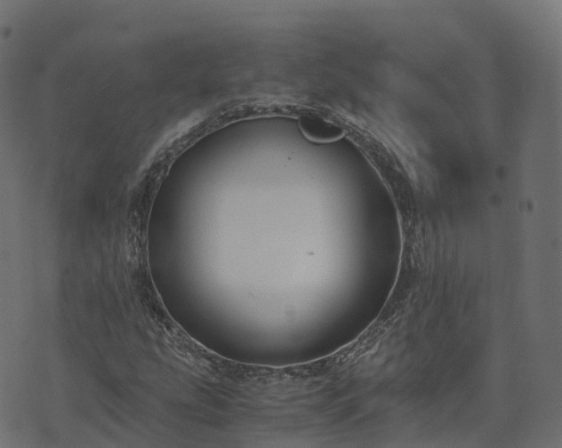 X0000073921207200608181040