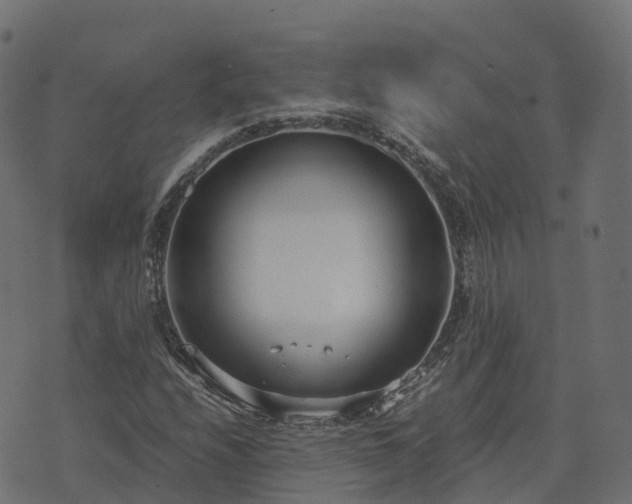 X0000073921208200608181040