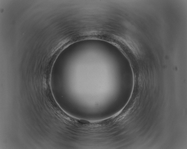 X0000073921209200608181040