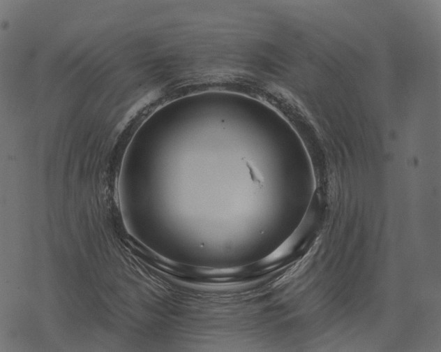 X0000073921210200608181040