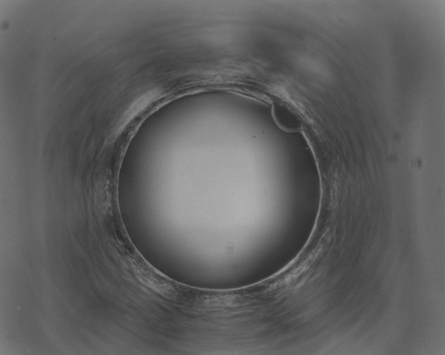 X0000073921211200608181041