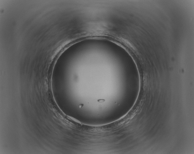 X0000073921212200608181041