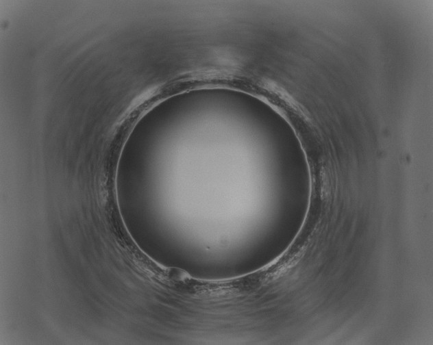 X0000073921213200608181041