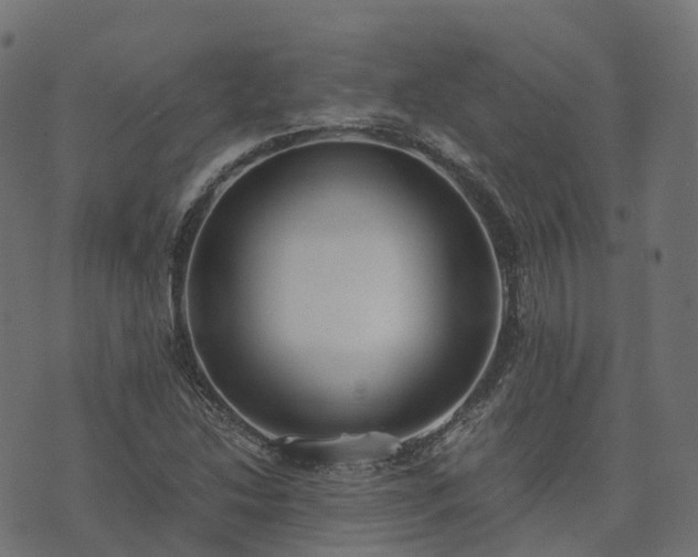 X0000073921214200608181041