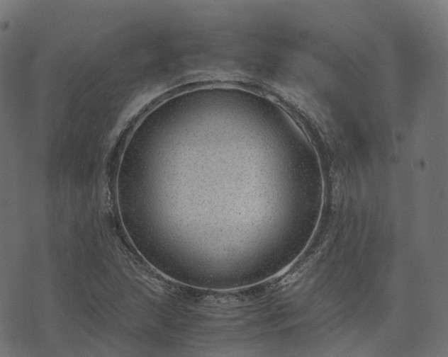 X0000073921215200608181041