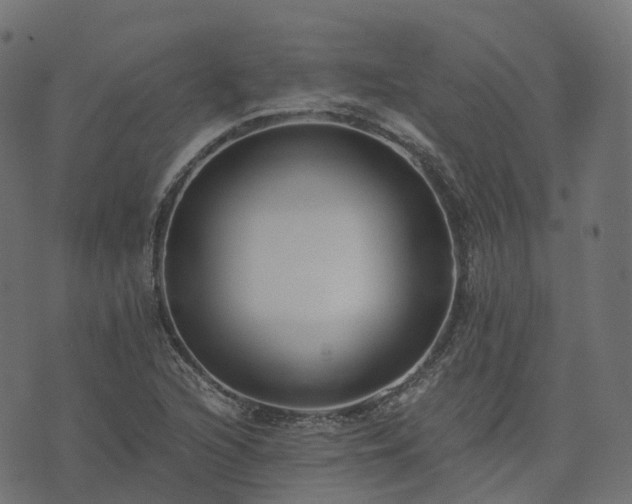 X0000073921216200608181041