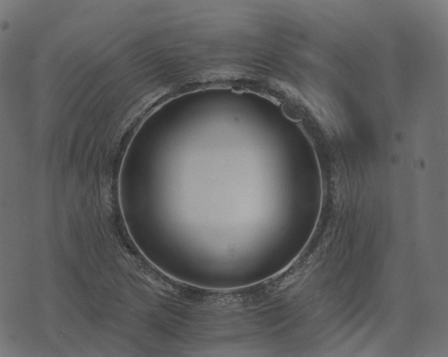 X0000073921217200608181041