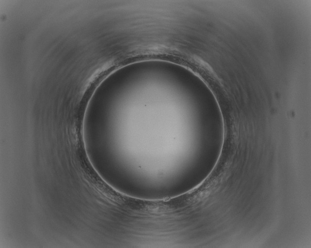 X0000073921218200608181041