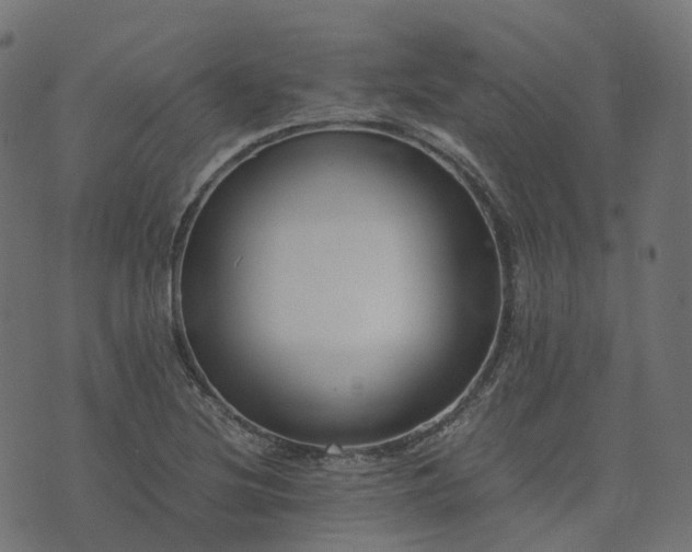 X0000073921220200608181041