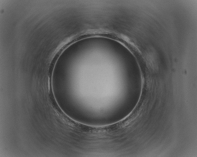 X0000073921221200608181041